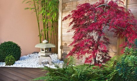 Création d’un espace zen japonais dans un jardin de particulier Saint‑Appolinaire